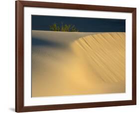 USA, California. Death Valley National Park, Mesquite Flats Sand Dunes.-Jamie & Judy Wild-Framed Photographic Print