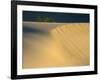 USA, California. Death Valley National Park, Mesquite Flats Sand Dunes.-Jamie & Judy Wild-Framed Photographic Print