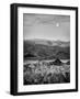 USA, California, Death Valley National Park. Moon setting at dawn over Zabriskie Point-Ann Collins-Framed Photographic Print