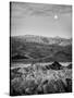 USA, California, Death Valley National Park. Moon setting at dawn over Zabriskie Point-Ann Collins-Stretched Canvas