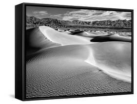 USA, California, Death Valley National Park, Morning Sun Hits Mesquite Flat Dunes-Ann Collins-Framed Stretched Canvas