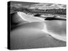 USA, California, Death Valley National Park, Morning Sun Hits Mesquite Flat Dunes-Ann Collins-Stretched Canvas