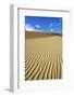 USA, California, Death Valley, Ripples in the sand, Mesquite Flat Sand Dunes.-Kevin Oke-Framed Photographic Print