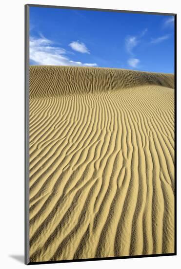 USA, California, Death Valley, Ripples in the sand, Mesquite Flat Sand Dunes.-Kevin Oke-Mounted Photographic Print