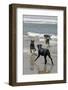 USA, California, Del Mar. Dogs Playing in Ocean at Dog Beach del Mar-Kymri Wilt-Framed Photographic Print