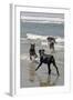 USA, California, Del Mar. Dogs Playing in Ocean at Dog Beach del Mar-Kymri Wilt-Framed Photographic Print