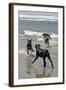 USA, California, Del Mar. Dogs Playing in Ocean at Dog Beach del Mar-Kymri Wilt-Framed Photographic Print