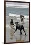 USA, California, Del Mar. Dogs Playing in Ocean at Dog Beach del Mar-Kymri Wilt-Framed Photographic Print