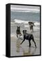 USA, California, Del Mar. Dogs Playing in Ocean at Dog Beach del Mar-Kymri Wilt-Framed Stretched Canvas