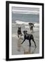 USA, California, Del Mar. Dogs Playing in Ocean at Dog Beach del Mar-Kymri Wilt-Framed Photographic Print