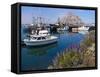 USA, California. Docked boats at Morro Bay with Morro Rock behind.-Anna Miller-Framed Stretched Canvas