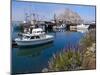 USA, California. Docked boats at Morro Bay with Morro Rock behind.-Anna Miller-Mounted Premium Photographic Print