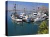 USA, California. Docked boats at Morro Bay with Morro Rock behind.-Anna Miller-Stretched Canvas