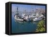 USA, California. Docked boats at Morro Bay with Morro Rock behind.-Anna Miller-Framed Stretched Canvas