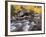 USA, California, Eastern Sierra. Aspens Along North Fork of Bishop Creek-Ann Collins-Framed Photographic Print