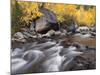 USA, California, Eastern Sierra. Aspens Along North Fork of Bishop Creek-Ann Collins-Mounted Photographic Print