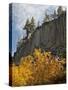 USA, California, Eastern Sierra, Devils Postpile National Monument in Autumn-Ann Collins-Stretched Canvas