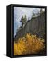 USA, California, Eastern Sierra, Devils Postpile National Monument in Autumn-Ann Collins-Framed Stretched Canvas