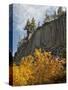 USA, California, Eastern Sierra, Devils Postpile National Monument in Autumn-Ann Collins-Stretched Canvas