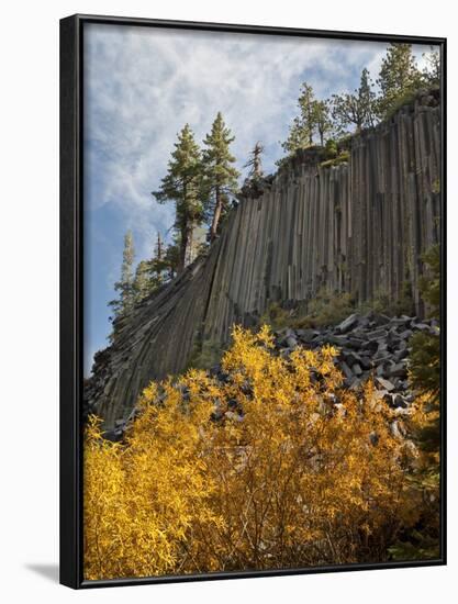 USA, California, Eastern Sierra, Devils Postpile National Monument in Autumn-Ann Collins-Framed Photographic Print