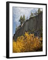 USA, California, Eastern Sierra, Devils Postpile National Monument in Autumn-Ann Collins-Framed Photographic Print