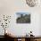 USA, California, Eastern Sierra, Devils Postpile National Monument in Autumn-Ann Collins-Photographic Print displayed on a wall