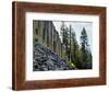 USA, California, Eastern Sierra. Devils Postpile National Monument in Autumn-Ann Collins-Framed Photographic Print