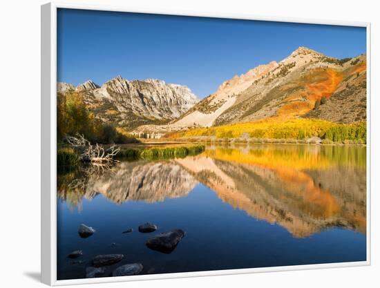 USA, California, Eastern Sierra, Fall Color Reflected in North Lake-Ann Collins-Framed Photographic Print