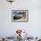 USA, California, Eastern Sierra. Lone Pine Peak Through the Mobius Arch in the Alabama Hills-Ann Collins-Framed Photographic Print displayed on a wall