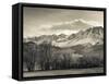 USA, California, Eastern Sierra Nevada Area, Bishop, Landscape of the Pleasant Valey-Walter Bibikow-Framed Stretched Canvas