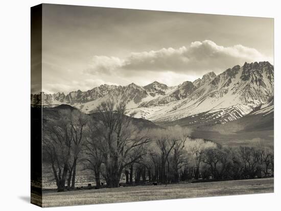 USA, California, Eastern Sierra Nevada Area, Bishop, Landscape of the Pleasant Valey-Walter Bibikow-Stretched Canvas