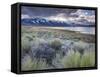 USA, California, Eastern Sierra Nevada Area, Lee Vining, Mono Lake, Mountain Landscape-Walter Bibikow-Framed Stretched Canvas