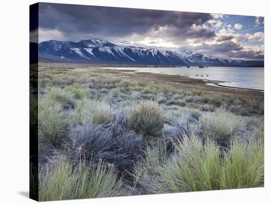 USA, California, Eastern Sierra Nevada Area, Lee Vining, Mono Lake, Mountain Landscape-Walter Bibikow-Stretched Canvas