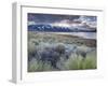 USA, California, Eastern Sierra Nevada Area, Lee Vining, Mono Lake, Mountain Landscape-Walter Bibikow-Framed Photographic Print