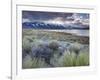 USA, California, Eastern Sierra Nevada Area, Lee Vining, Mono Lake, Mountain Landscape-Walter Bibikow-Framed Photographic Print
