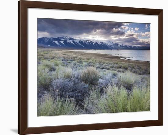 USA, California, Eastern Sierra Nevada Area, Lee Vining, Mono Lake, Mountain Landscape-Walter Bibikow-Framed Photographic Print