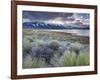 USA, California, Eastern Sierra Nevada Area, Lee Vining, Mono Lake, Mountain Landscape-Walter Bibikow-Framed Photographic Print