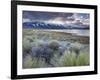 USA, California, Eastern Sierra Nevada Area, Lee Vining, Mono Lake, Mountain Landscape-Walter Bibikow-Framed Photographic Print