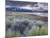 USA, California, Eastern Sierra Nevada Area, Lee Vining, Mono Lake, Mountain Landscape-Walter Bibikow-Mounted Photographic Print