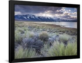 USA, California, Eastern Sierra Nevada Area, Lee Vining, Mono Lake, Mountain Landscape-Walter Bibikow-Framed Photographic Print