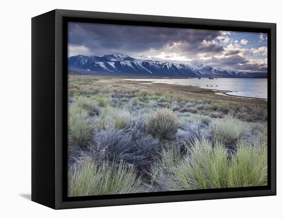 USA, California, Eastern Sierra Nevada Area, Lee Vining, Mono Lake, Mountain Landscape-Walter Bibikow-Framed Stretched Canvas