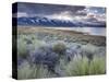 USA, California, Eastern Sierra Nevada Area, Lee Vining, Mono Lake, Mountain Landscape-Walter Bibikow-Stretched Canvas