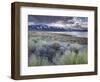 USA, California, Eastern Sierra Nevada Area, Lee Vining, Mono Lake, Mountain Landscape-Walter Bibikow-Framed Photographic Print