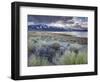 USA, California, Eastern Sierra Nevada Area, Lee Vining, Mono Lake, Mountain Landscape-Walter Bibikow-Framed Photographic Print