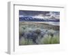 USA, California, Eastern Sierra Nevada Area, Lee Vining, Mono Lake, Mountain Landscape-Walter Bibikow-Framed Photographic Print