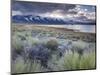 USA, California, Eastern Sierra Nevada Area, Lee Vining, Mono Lake, Mountain Landscape-Walter Bibikow-Mounted Photographic Print