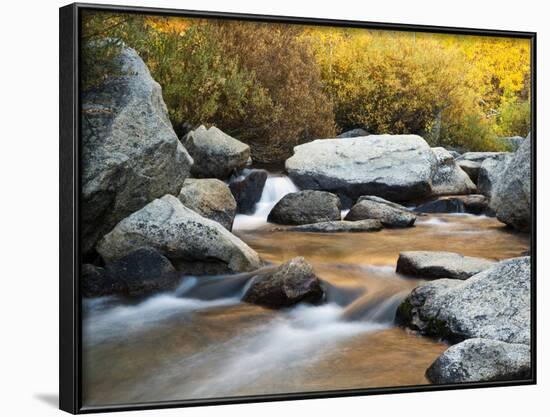 USA, California, Eastern Sierra, North Fork of Bishop Creek-Ann Collins-Framed Photographic Print