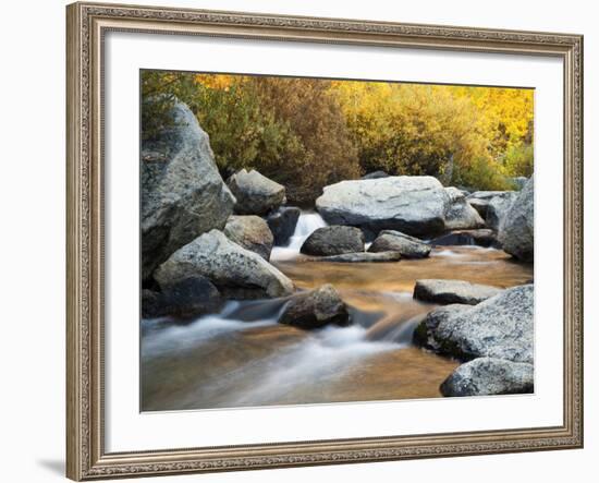 USA, California, Eastern Sierra, North Fork of Bishop Creek-Ann Collins-Framed Photographic Print