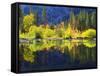 USA, California, Fall Colors Reflecting in a Beaver Pond-Jaynes Gallery-Framed Stretched Canvas