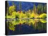 USA, California, Fall Colors Reflecting in a Beaver Pond-Jaynes Gallery-Stretched Canvas